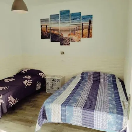 El Drago Costa Del Silencio